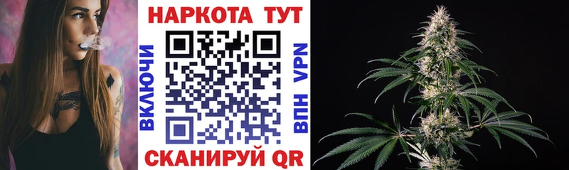 Где купить наркотики Отрадный МАРИХУАНА  АМФ  Псилоцибиновые грибы  ГАШИШ  МЕФ  Cocaine 