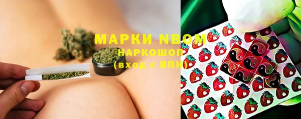 apvp Новозыбков