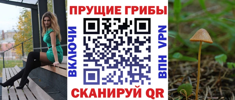 наркошоп  Отрадный  Псилоцибиновые грибы мухоморы 